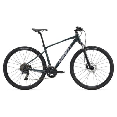 BICIKL GIANT ROAM 2 VEL L ASPHALT GREEN 2026