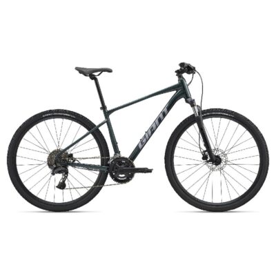 BICIKL GIANT ROAM 2 XL ASPHALT GREEN